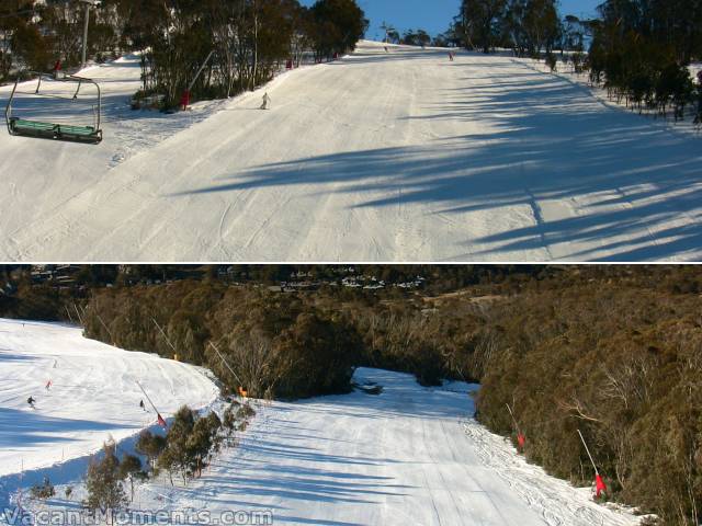 Looking up Supertrail to BunnyWalk<BR>And down Hump Run to Tower 9