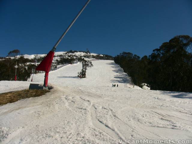 Looking back up Supertrail from BunnyWalk