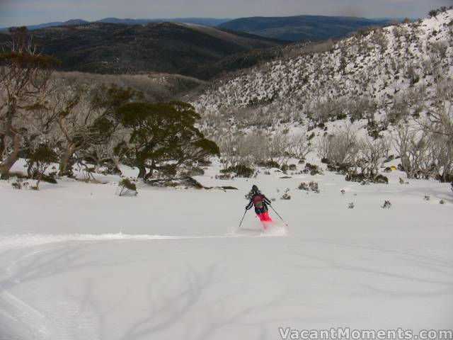 Marion below the tree line