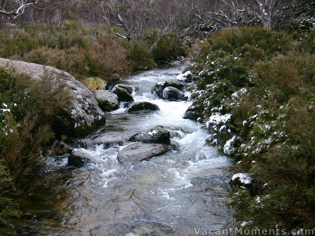 Just a dusting of Thursday's snow beside Bogong Creek, taken from the bridge