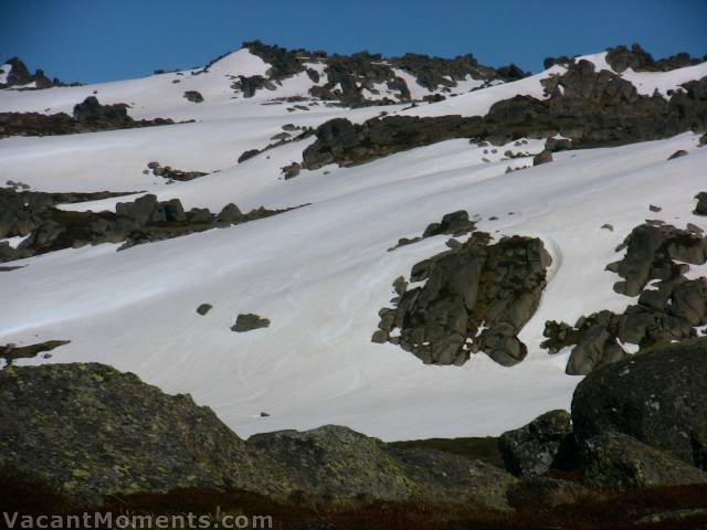 View from top to my tracks from last Tuesday on the 'hill'