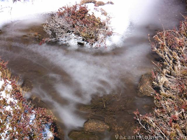 There were many beautiful frozen ponds beside the walking track