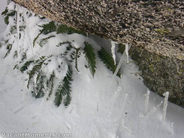 Signs of the thaw and freeze, thaw and freeze in the high alpine