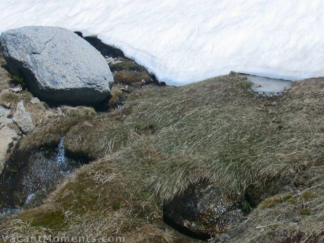 At the base of every drift the thaw brings streams to life