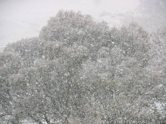 The snow started this morning and fell heavily at times