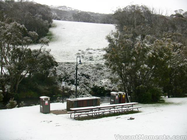 Thredbo free BBQ area - no esky required today ;-)