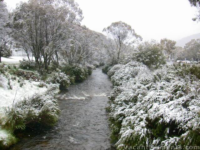 Thredbo River