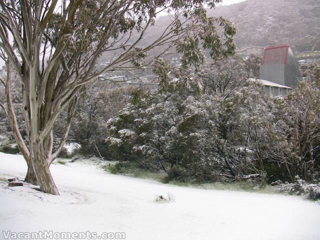 Will global warming mean this becomes the norm for Australian summers?