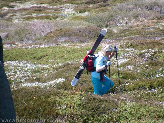 Santa's helper surrounded by wild flowers