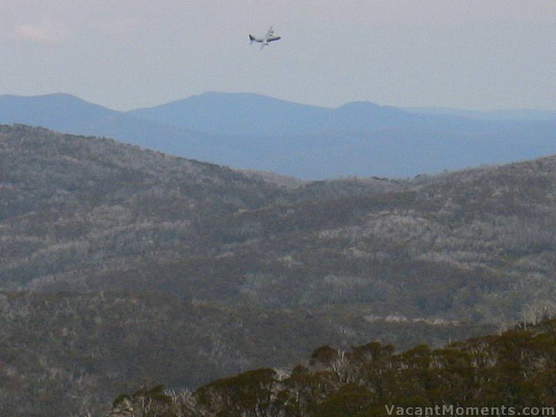 Australia's finest doing a loop around the village