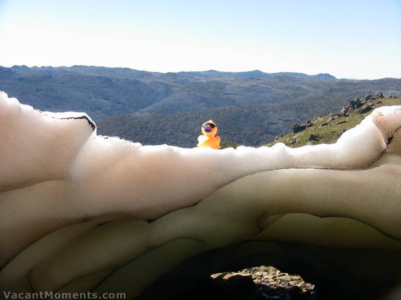 For Vanessa - Alpine Rubber Duckie above a snow cave