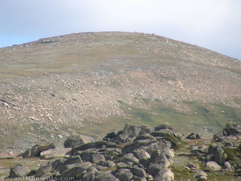 Speaking of which - some (little dots) made it early in the morning<BR>Little (lunch) boxes on the hillside, little boxes <s>made</s> full of ticky tacky, little boxes ... (apologies Pete & Malvina)