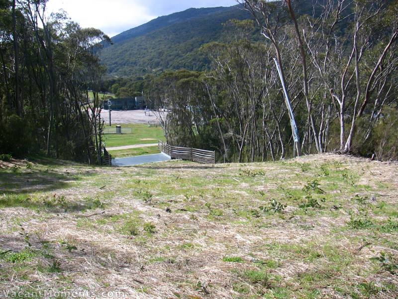 Looking down lower High Noon<BR>There must be hundreds of baby gums sprouting on the run after just one season