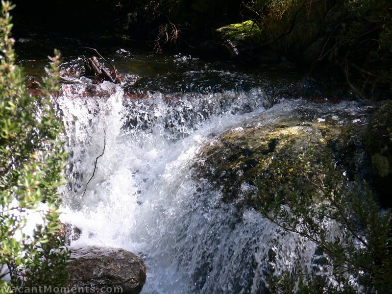 It will only be matter of time before the Snowy River gets another flush<BR>This must have been the best summer flow the Snowy has had since it was dammed.