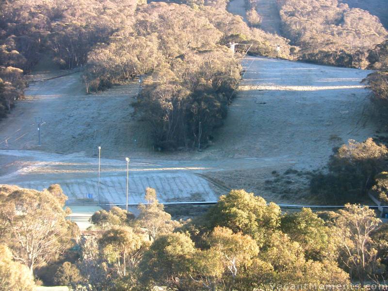 Friday Update:<BR>And wouldn't you know it - the morning after a hair cut and it's freezing (Friday morning frost)