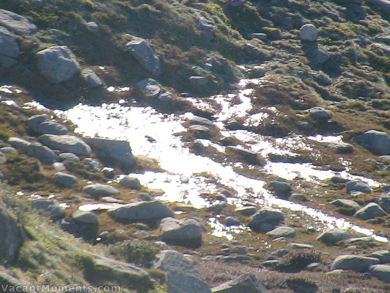 Close up of the frozen shimmer. There was lots of ice up top after a sub zero night.