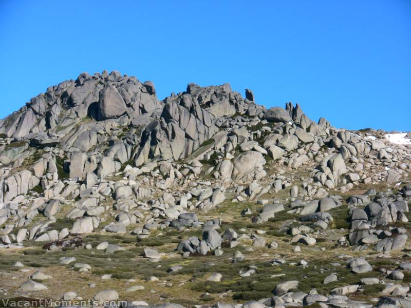 Every time I walk out on the main range I see something new - can you see what I see?<BR>Can you see the raptor sitting above the Back Door to Signature Hill?