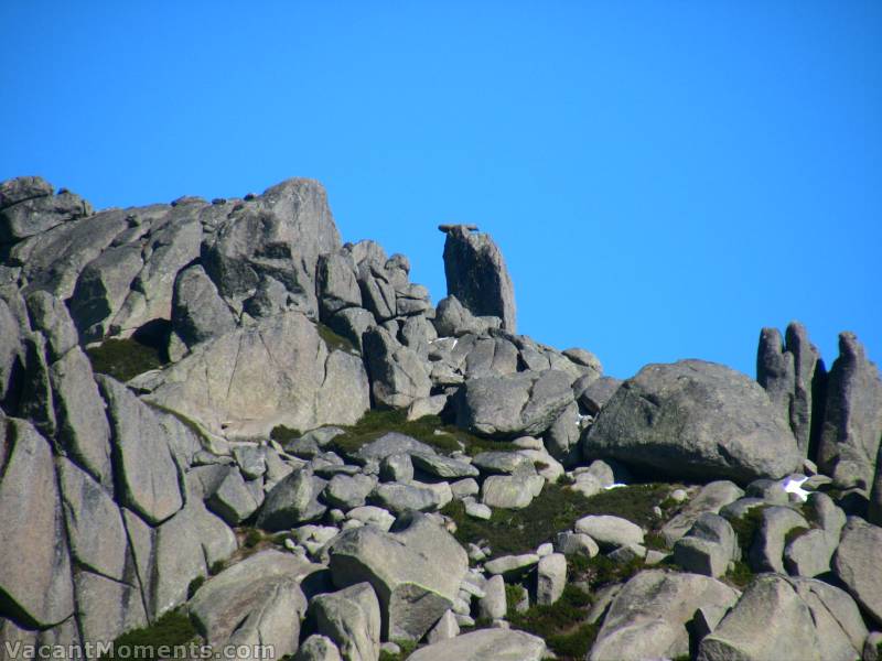 Now go back and take another look<BR>May be we should call it Raptor Ridge - not a stoned crow<BR>or may be I just need my eyes checked again?