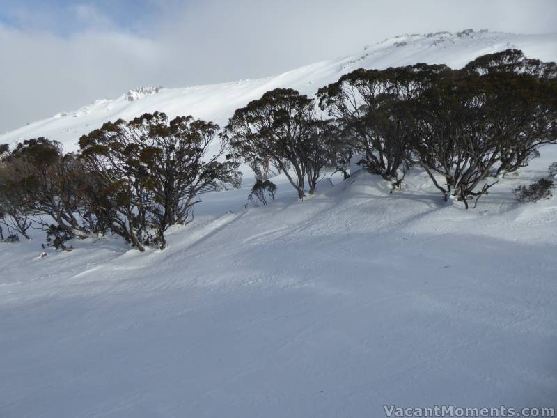 Looking towards Wiamea from Cruiser