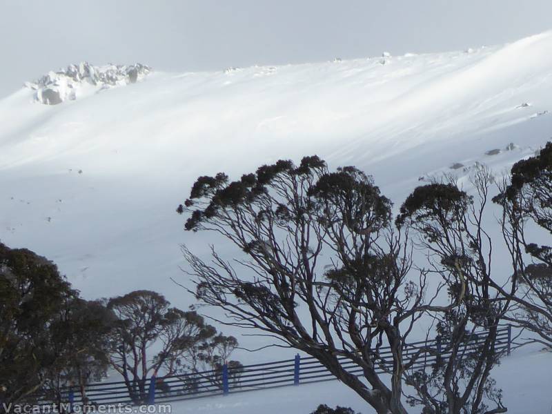 Closer view of a wonderfully filled in Wiamea (closed today)