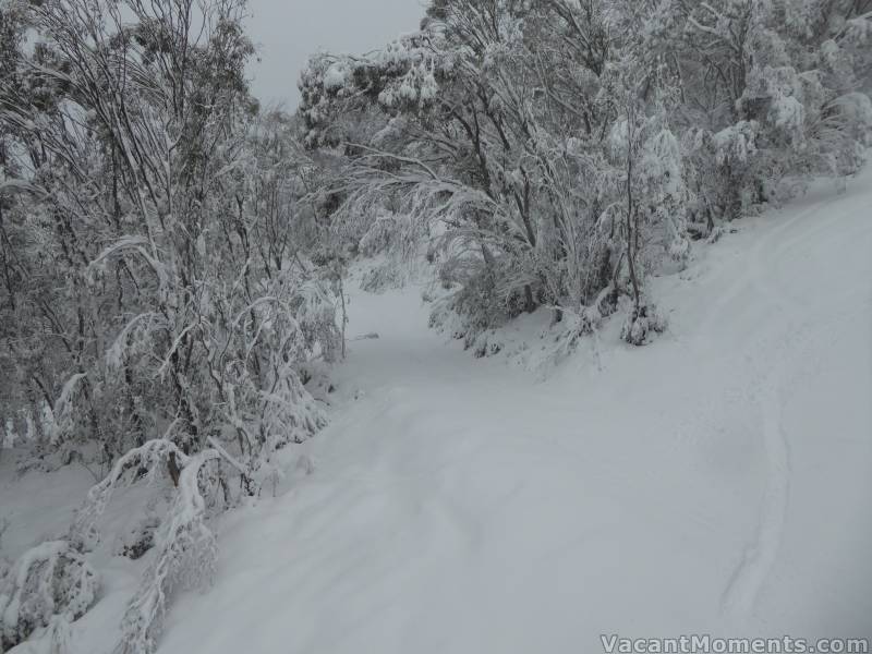 There is so much snow - everywhere