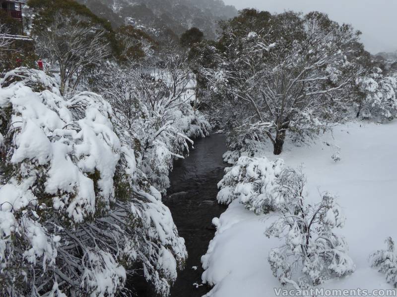 Looking up Thredbo River from the walking bridge