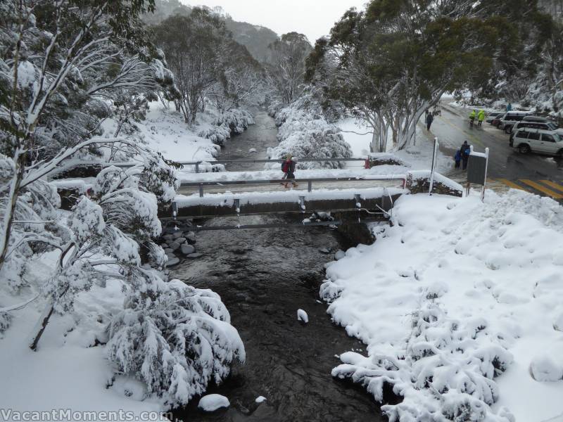 Looking down Thredbo River