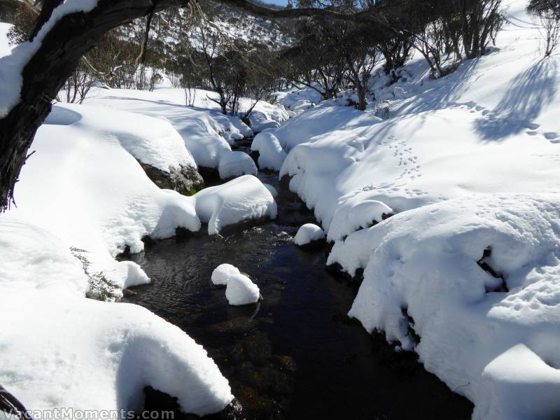 Looking back upstream