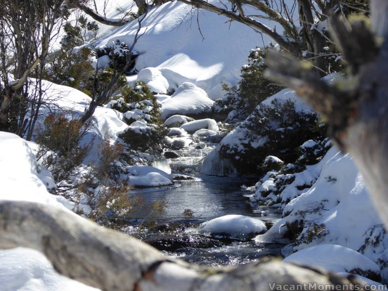 Bubbling/babbling alpine stream