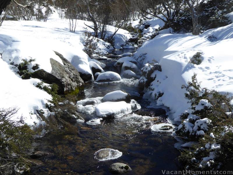 Bogong Creek