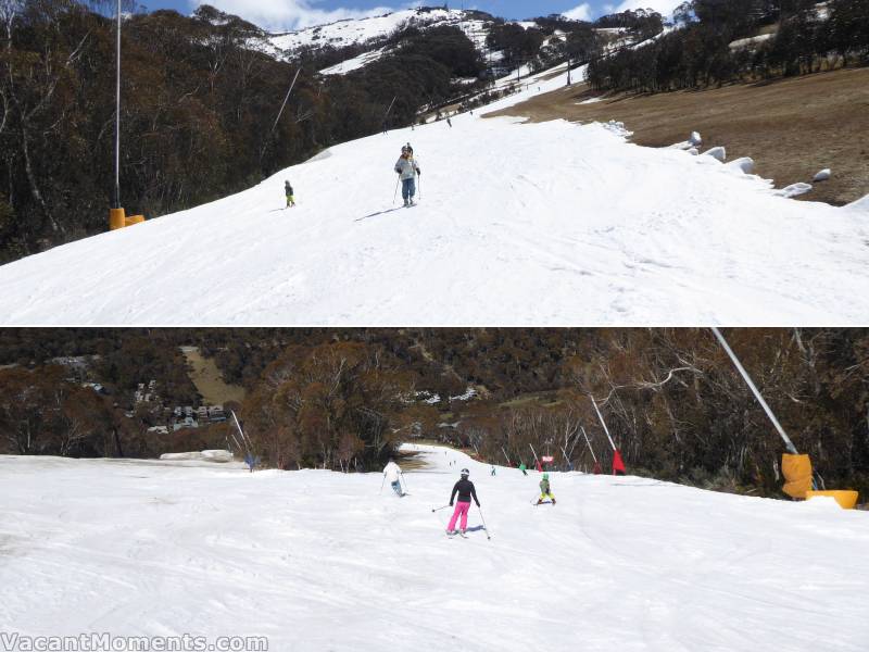 Saturday: looking up Meadows and down Milk Run