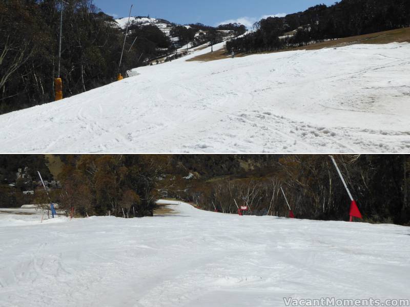 Sunday: looking up Meadows and down Milk Run