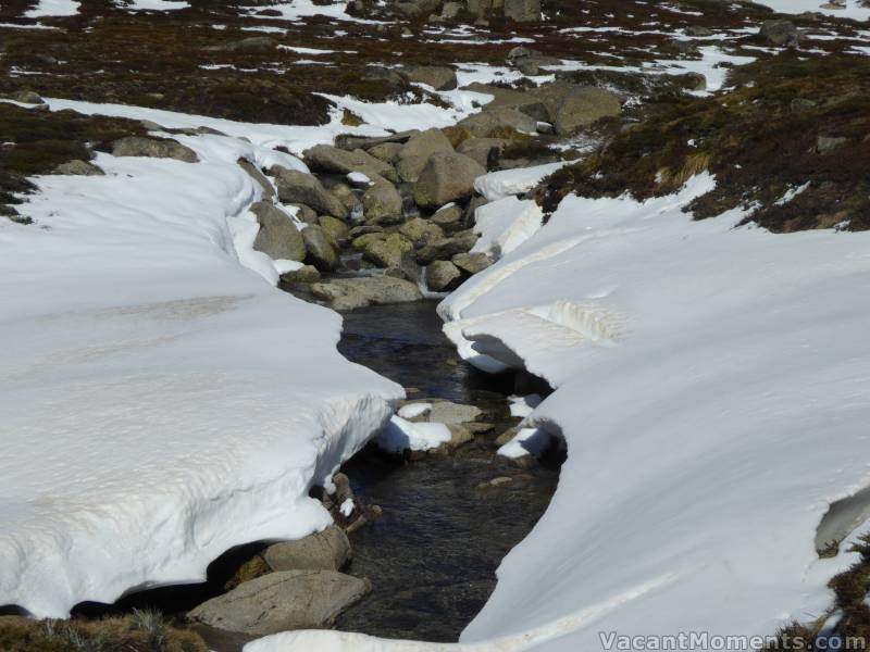 Merritts Creek opening up yesterday