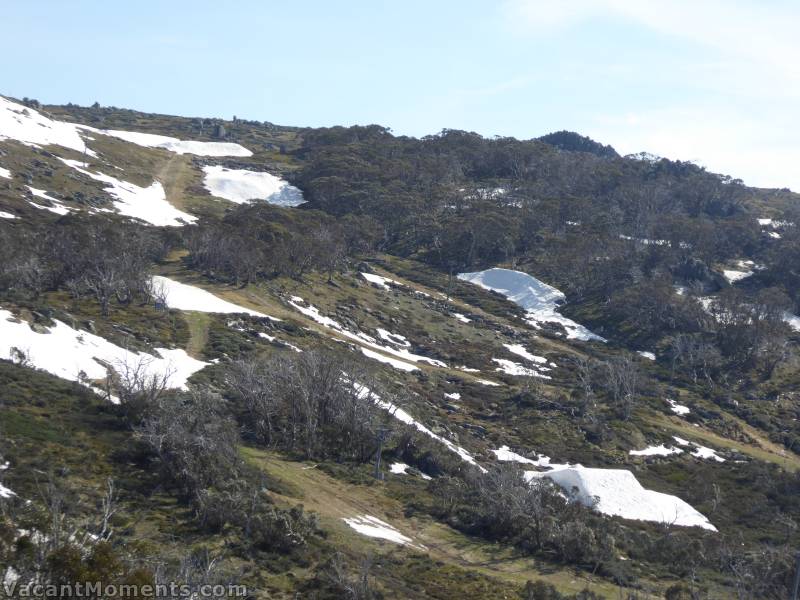 Yes, the jumps are hanging in there on Central Spur