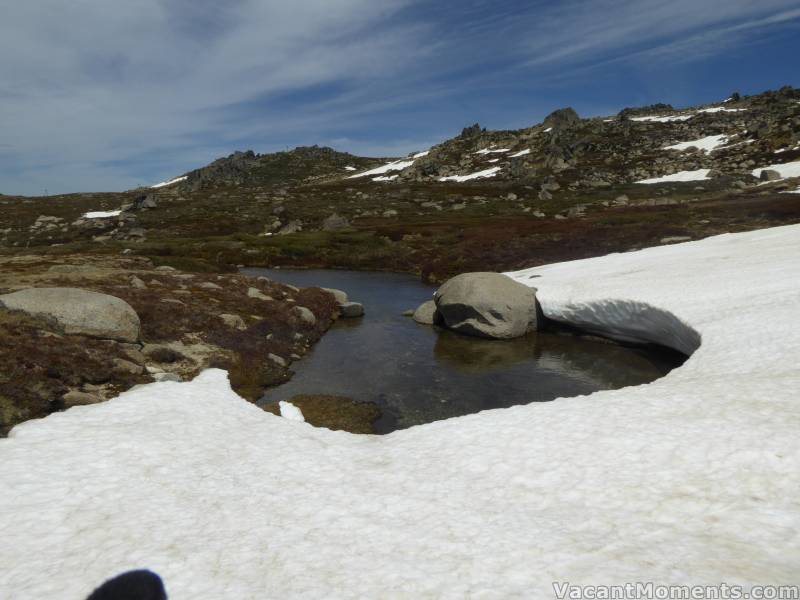 And the pond