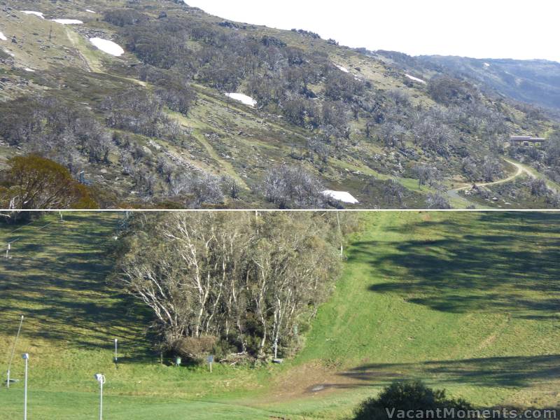 Remains of the jumps beside Antons (shot yesterday - Nov 17th)<BR>and the last of the snow play patch ;-) on Nov 3rd