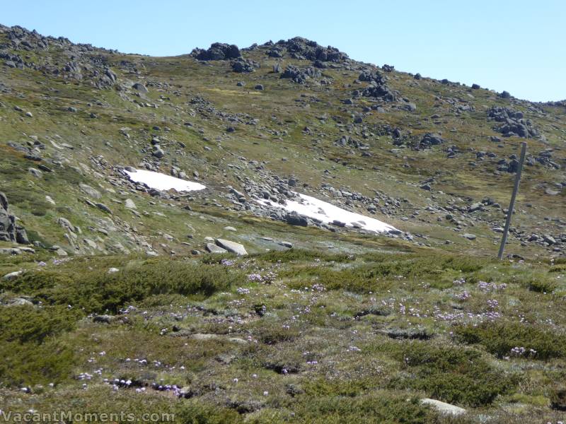 Summer Drift with some snow play close to the top of the chair lift