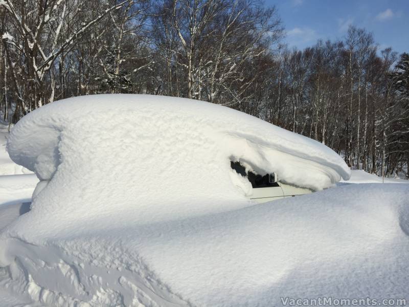 Why so many white cars - they're so hard to find?