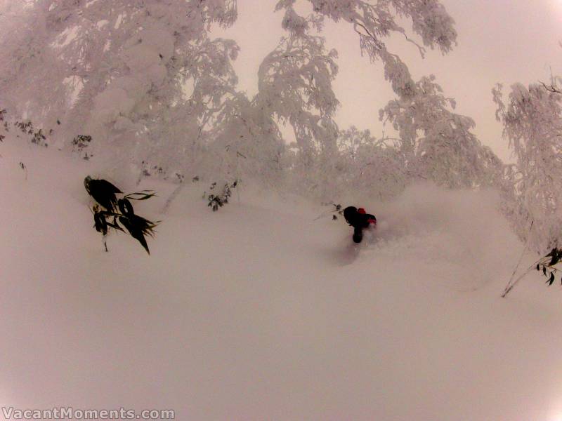 Peter on powder board - in deep