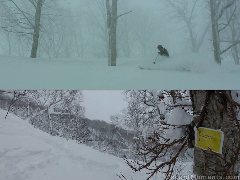 'Management' enjoying some pow, whilst Rosco has to search far and wide