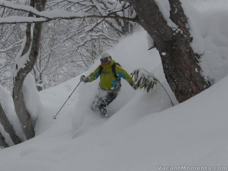 Jules in the trees of Niseko