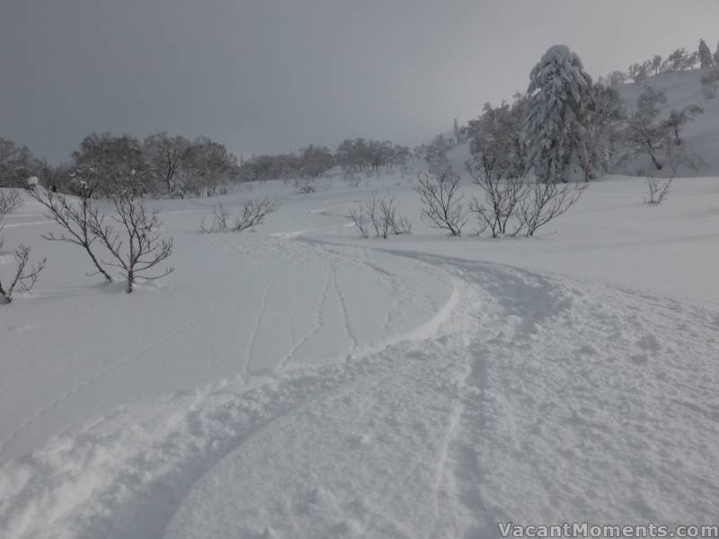 Rosco looks back up his Yotei tracks, after a 20 minute long ski down