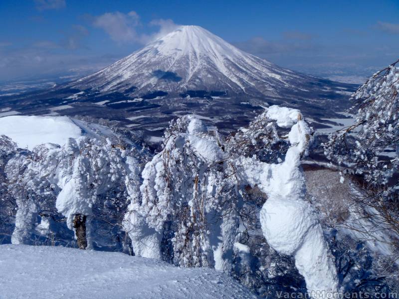 Looking back to Yotei