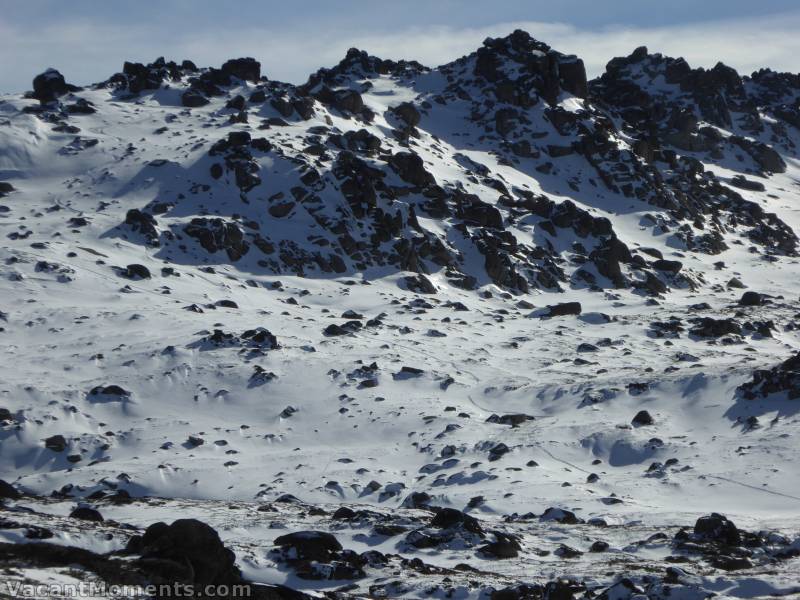 Looking out towards Signature Hill<BR>There is quite an impressive natural cover on the main range