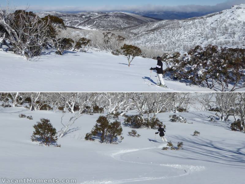 More glorious light snow on a packed base in the tree line