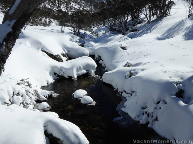 Bogong Creek at the bridge<BR>Note the animal tracks jumping the creek