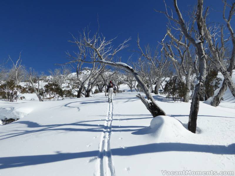 Marion forging up the slope