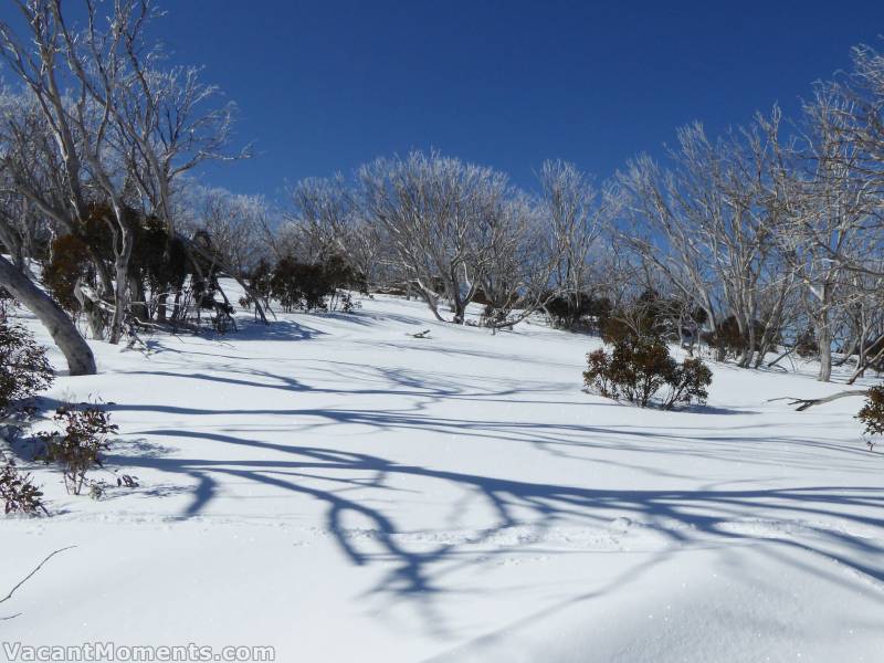 Fresh snow and not a breath of wind on the way to DHG