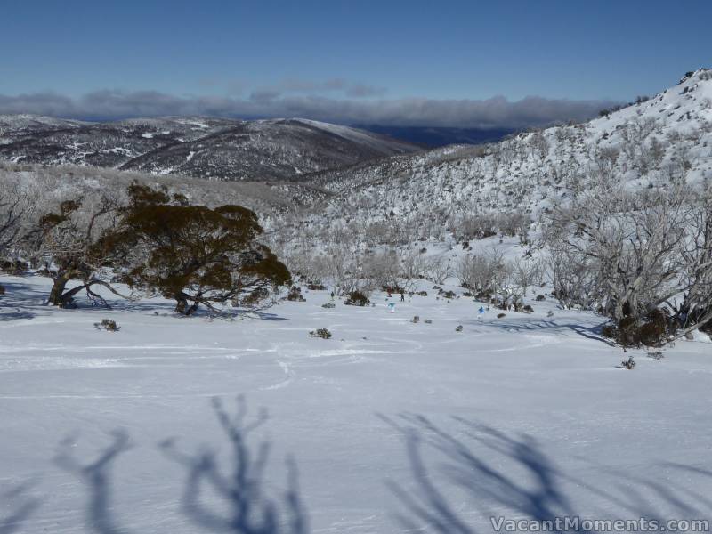 We dropped way down into the tree line