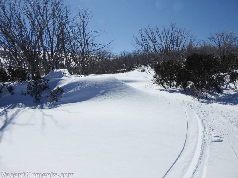 The untracked freshies were light and creamy